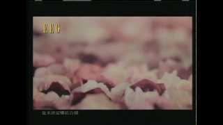 容祖兒 Joey Yung《花千樹》Official MV [upl. by Nnagem]