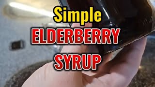 The EASIEST elderberry syrup [upl. by Eenobe935]