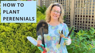 How to Plant Perennials the Easy Way [upl. by Adnauqal]