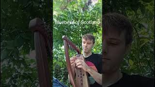 Bluebells of Scotland on Small Harp harp smallharp folksong [upl. by Eidolem]