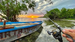 Pescando y Explorando Lago de Agua Salada LLENO de Pargos  Más de 100 Capturas [upl. by Magner]