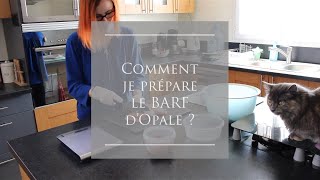 Comment je prépare les rations BARF dOpale [upl. by Padriac]