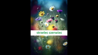 Tarot STRZELEC CZERWIEC 2023 [upl. by Maryl]