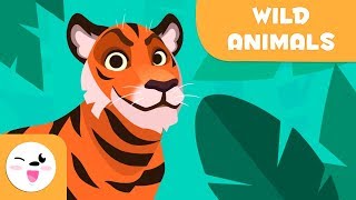 Wild animals for kids  Vocabulary for kids [upl. by Egidio74]