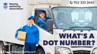 What Is A USDOT Number ⛟ Requires All Interstate Motor Carriers To Display The USDOT Number [upl. by Akins770]