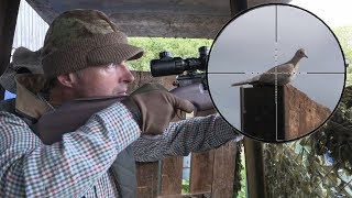 The Airgun Show – Shooting crows amp doves on farm PLUS Air Force One Air Ram Compressor [upl. by Radford]