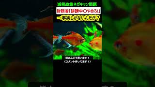 財務省、批判コメントが図星過ぎて怒ってしまう…【国民民主党・政治ニュース】 [upl. by Tatianas]