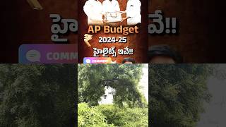 AP Budget 202425 Highlights shorts budget india ytshortsindia youtubeshorts [upl. by Bibeau425]