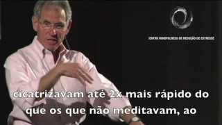 Atenção Plena  A Ciência do Mindfulness jon kabatzinn [upl. by Alard]