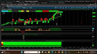 Mastering Shortterm Swing Trading With Three Uptrending CPR Trends Nov 11thNov15th 2024 [upl. by Nollaf263]