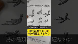 【理不尽なテストに420倍返しするヤツ】学校テストショートドラマのむへい [upl. by Miquela]