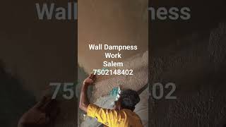 Wall Dampness Services Wall Waterproofing coating Contractors Wall Renovation Interior wall Painting [upl. by Teirrah]