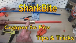 How to connect Copper to Pex using SharkBite Fittings [upl. by Kimberlee]