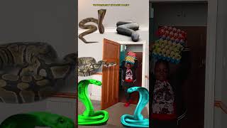 Animal funny video Anaconda snake python in my house in real life bhoot wala 1am bhojpuri vfx P2 [upl. by Gratianna]