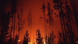 The Story Behind the Yellowstone Fires of 1988  Retro Report  The New York Times [upl. by Idolla]