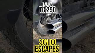 TC 250 Italika Sonido Escape🔥motorcycle tc250 italika bike exhaust escape lifestyle chopper [upl. by Roosevelt347]