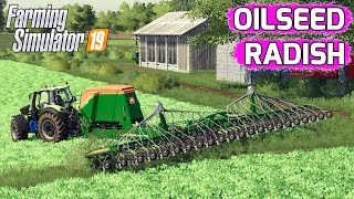 Farming Simulator 19  Oilseed Radish [upl. by Hanselka]