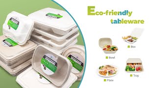 Biodegradable Food Container Sugarcane Bagasse Tableware Bento Lunch Box Food To Go Boxes [upl. by Glynis]