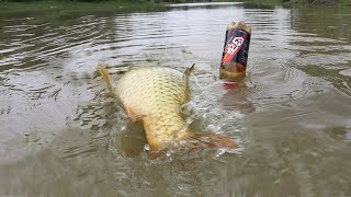 Traditional✅ Fish Trap✔ Big Carp😊 Plastic🐬 Bottle Fishing✌ Video  Beautiful👀 Village River🐟 [upl. by Det]