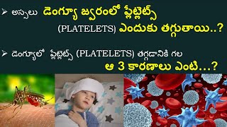 అస్సలు డెంగ్యూలో ప్లేట్లెట్స్ PLATELETS ఎందుకు తగ్గుతాయి PLATELETS తగ్గడానికి గల ఆ 3 కారణాలు ఎంటి [upl. by Alyakcim924]