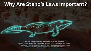 Nicolaus Steno Steno’s Laws of Stratigraphy [upl. by Elodea]