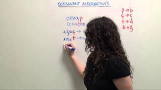 Turkish Grammar Consonant Alternation Why Do They Keep Changing [upl. by Gievlos970]