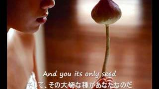 The Rose  Bette Midler 歌詞字幕）English amp Japanese Lyrics [upl. by Annahsed]