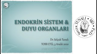 Endokrin Sistem ve Duyu Organları [upl. by Cassady]