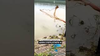 Pesca mortal 🇨🇴🎣🇧🇷☠💀 fishing pescadores carpfishing pescada [upl. by Eiser]