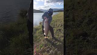 My Record Breaking Catch  Twizel Canal  Salmon Fishing [upl. by Attikram969]