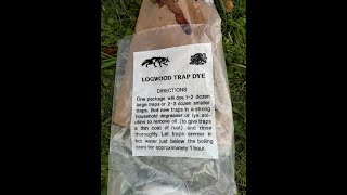 how i use logwood dye for traps [upl. by Philly]