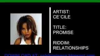 Relationships Riddim MIX REGGAE 2009 [upl. by Onitsirc]