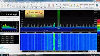 Radio Delta NL auf Kurzwelle AM 12030 khz ► SDR console SDRPlay 📻 RSPdx SDRangel 🌞 Langdrahtantenne [upl. by Assyle461]