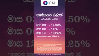 Invest In Treasury Bills amp Bonds  With CAL [upl. by Custer924]