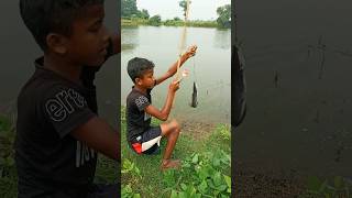 Amazing Hook Fishing video With Chicken Meat Trap fishing hookfishing shortvideo shorts [upl. by Stanislas]