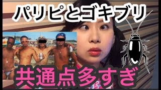 パリピとゴキブリへ贈る動画【パリピとゴキブリは絶対みてね★】 [upl. by Hebert862]