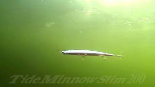 DUOs Lures in Motion 14 Tide Minnow Slim 200 [upl. by Trebma]