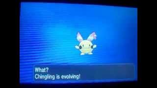 See what Chingling evolves into Pokemon X [upl. by Gnod]