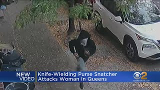 Womans purse stolen at knifepoint [upl. by Aneloj]