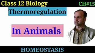 Thermoregulation In Mammals Fully Explained  Class 12 Biology [upl. by Tnarud992]