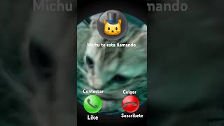 contéstale pues 😾😾 humor michu [upl. by Faria316]