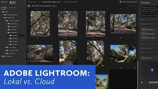 Adobe Lightroom Lokal vs Cloud [upl. by Girvin]