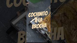 Brocheado de Cochino con Especies [upl. by Aizirtap]