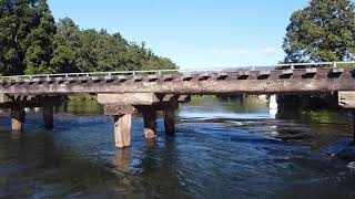 Mulgrave River  Far North Queensland [upl. by Lyrrehs848]