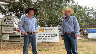 090822 Mareeba Sale  Market Report  Qld Rural [upl. by Nahtanaoj]