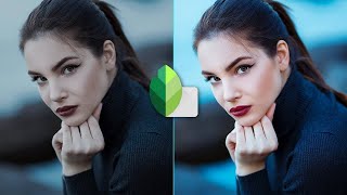 Snapseed Beginner Tutorial  Android and iPhone [upl. by Elleimac]