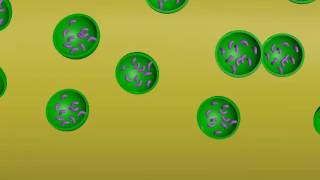 VESICLES OF NEUROTRANSMITTER [upl. by Ahseal640]