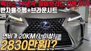 경제성 뛰어난 렉서스 신형 SUV 완벽한 디자인에 고급스러운 색상을 가진 UX250h [upl. by Arihsaj]