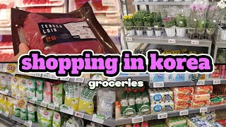 Grocery Vlog🛒buying essentials  Grocery shopping in Korea  daily necessity Prices✨ [upl. by Jardena]