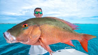 The SECRET to Catching GIANT Snapper Catch Clean Cook Mutton Snapper [upl. by Adnovahs]